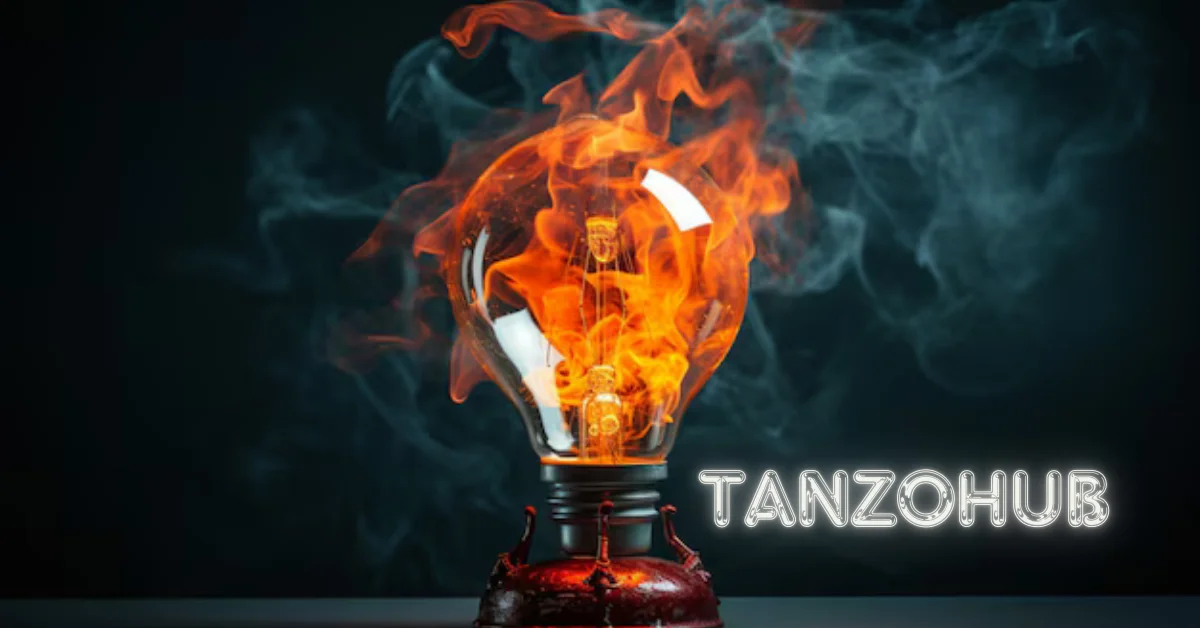 tanzohub